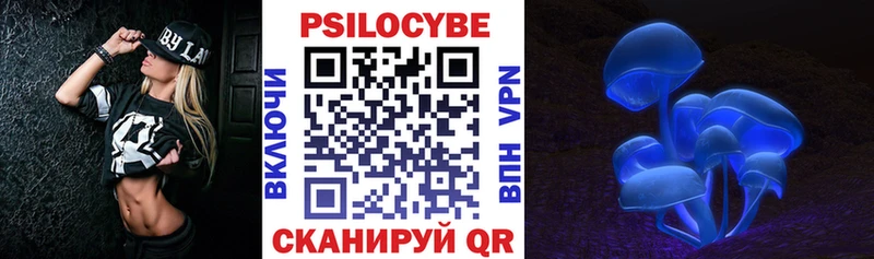 цены   Суоярви  Галлюциногенные грибы Psilocybine cubensis 